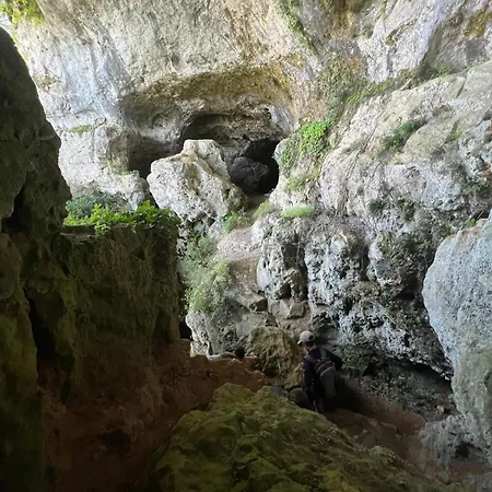 Les Cypres Du Brel *