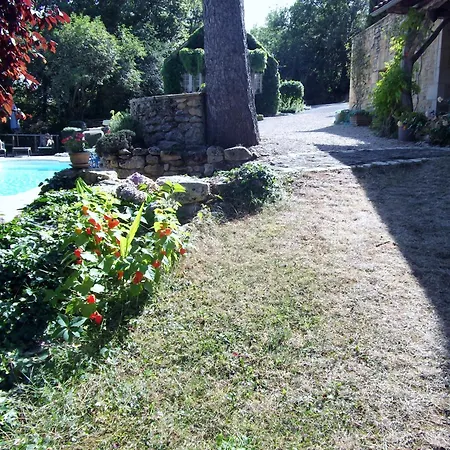 Les Cypres Du Brel